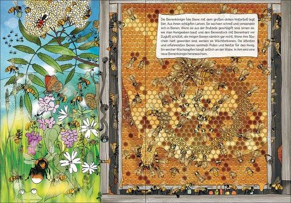 Viel los bei den Bienen!