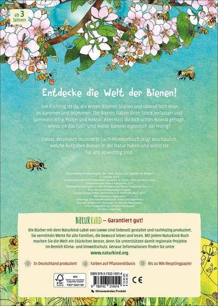 Viel los bei den Bienen!