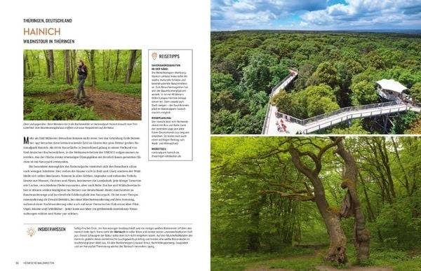 In 225 Reisen durch Europas Wälder