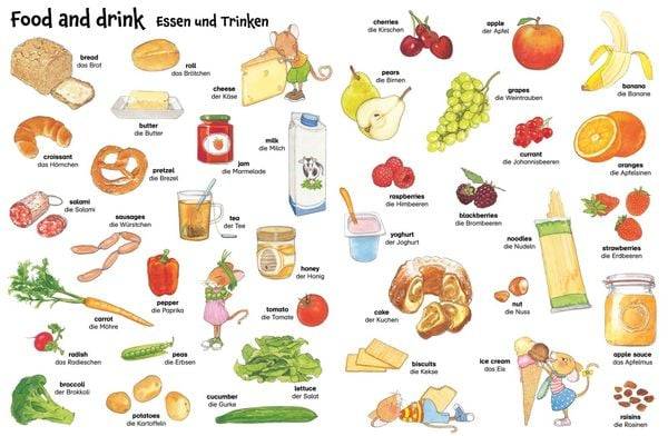 Mein erstes großes Bildwörterbuch – Englisch/Deutsch