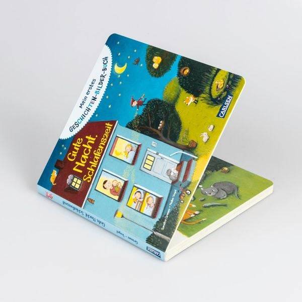 Mein erstes Geschichten-Bilder-Buch: Gute Nacht, Schlafenszeit