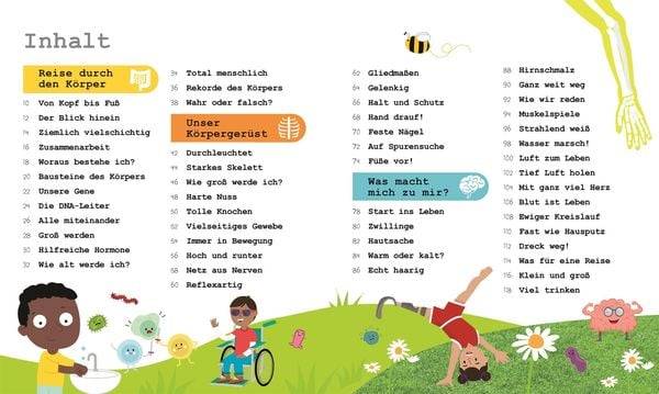 Wissen für Vorschulkids. Was weißt du über den Körper?