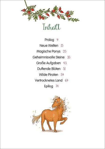 Die Wolkenponys (Band 1) - Das Geheimnis der Edelsteine