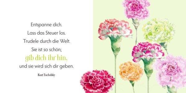 Alle guten Wünsche