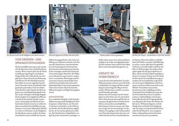 Gerüche erkennen und anzeigen