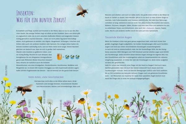 Die Wildwiese