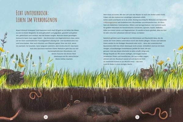 Die Wildwiese