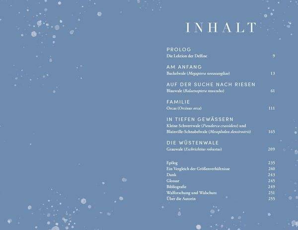 Die Reise der Wale