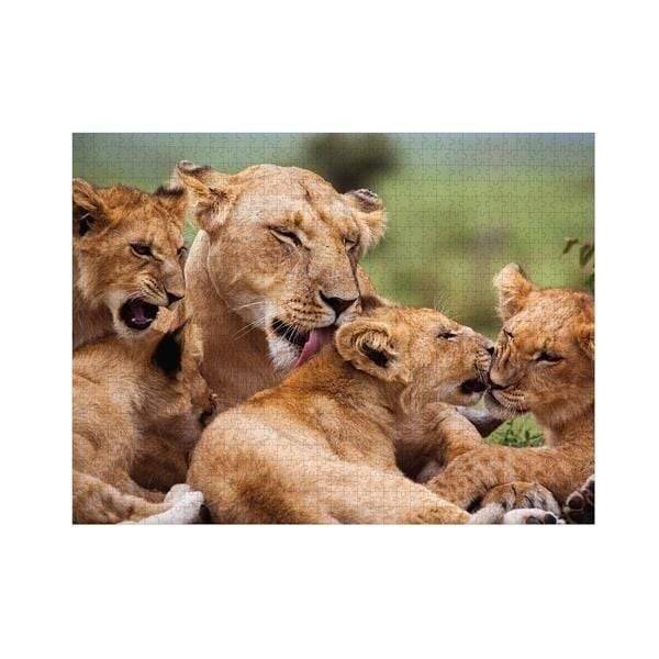 Ambassador - Löwen, 1000 Teile