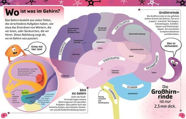 Superstark & superschlau. Superschlaues Gehirn
