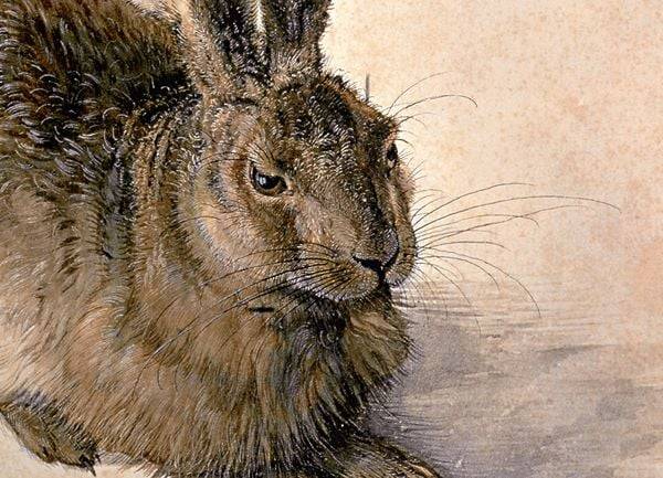 Albrecht Dürer