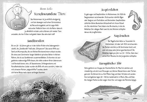 Die Grünen Piraten – Alarm auf der Robbenstation
