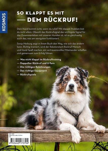 Raketenstart-Rückruf