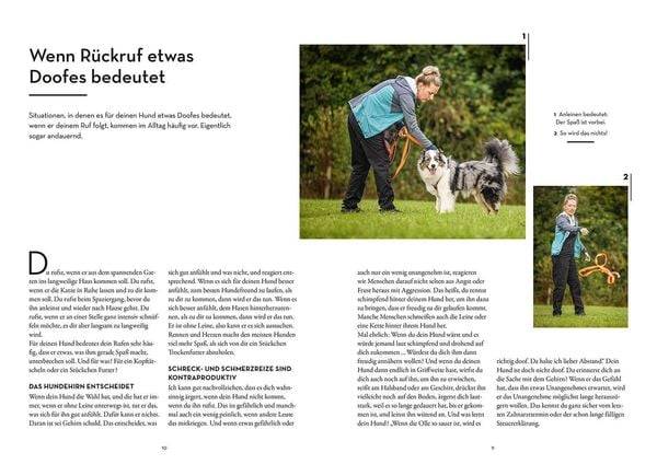 Raketenstart-Rückruf