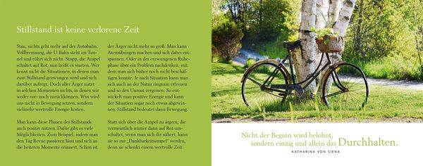 Alles hat seine Stunde