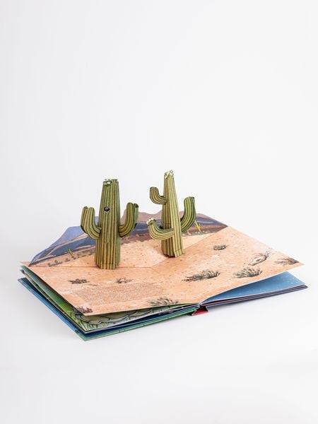 Das Wetter. Pop-up-Buch