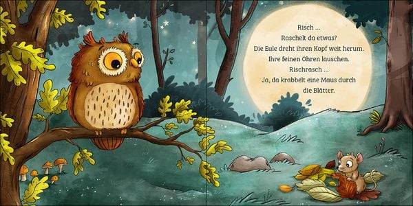 Mein erstes Naturbuch - Die Eule