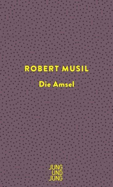 Die Amsel