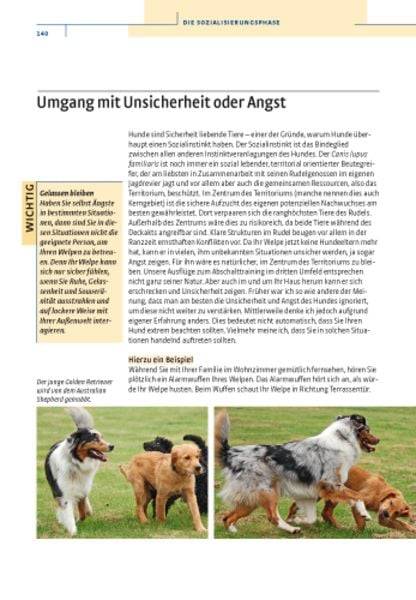 Vom Welpen zum Familienhund mit Natural Dogmanship