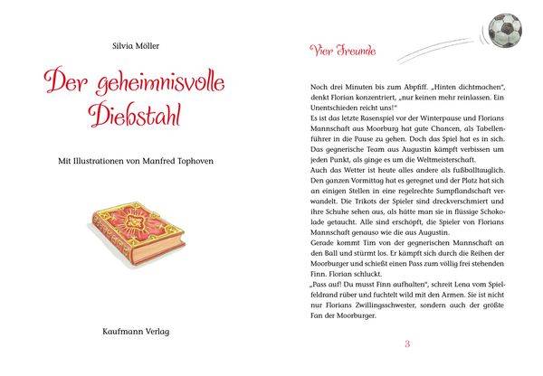 Der geheimnisvolle Diebstahl