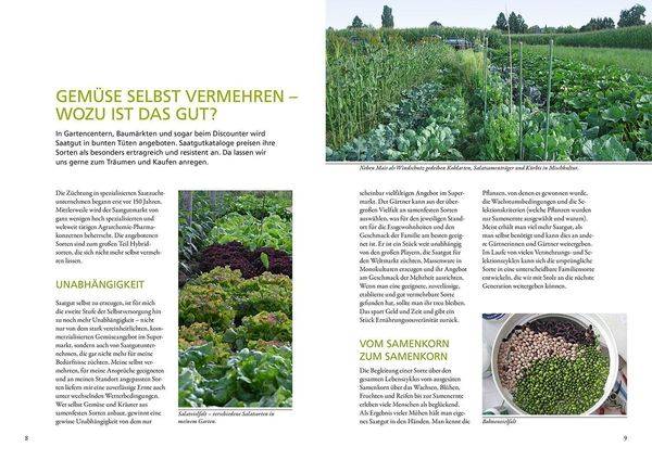 Meine Samen-Gärtnerei
