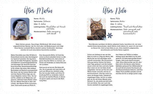 Mein Adventskalender-Buch: Fröhliche Miaunachten