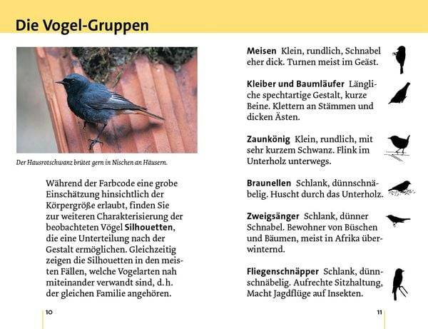 Alle Vögel sind schon da