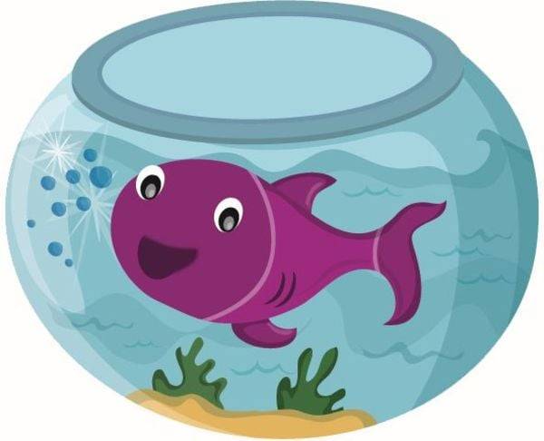 Moses. - Das Warum Quiz