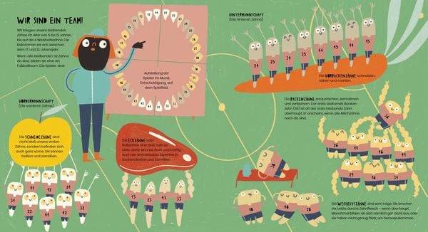 Das geheime Leben der Zähne