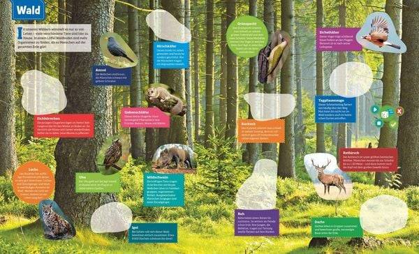 BOOKii® WAS IST WAS Stickeratlas Tiere aus aller Welt