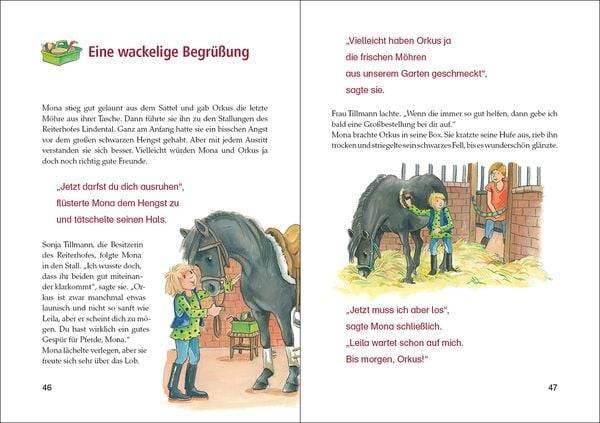 Lesenlernen in 3 Schritten - Die schönsten Fohlengeschichten