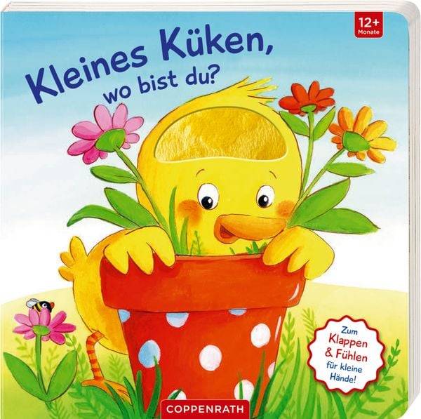 Mein erstes Guckloch-Fühlbuch: Kleines Küken, wo bist du?