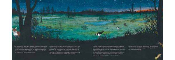 Im Moor – Kiebitz, Frosch und Sonnentau