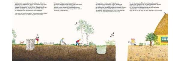 Im Moor – Kiebitz, Frosch und Sonnentau