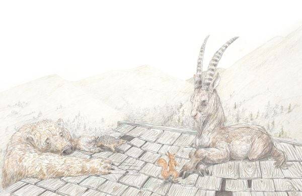 Herr Eichhorn: Herr Eichhorn und der König des Waldes