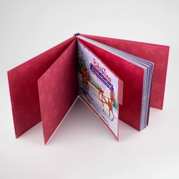 Bibi & Tina – Der Weihnachtswettkampf