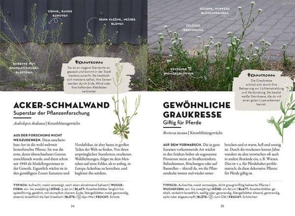 Das wächst in deiner Stadt