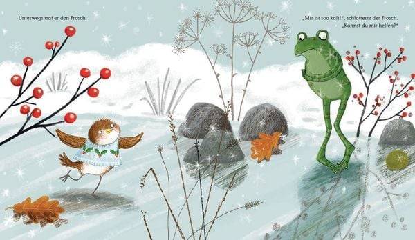 Robin, kleiner Weihnachtsheld