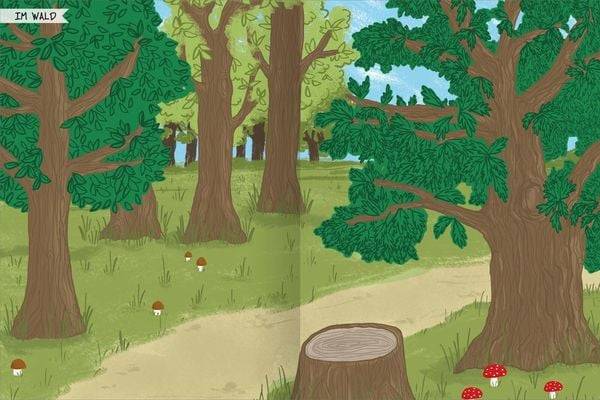 Naturforscher-Kids – Stickerheft Vögel