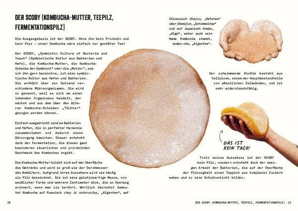 Kombucha do it yourself
