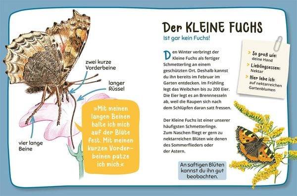 Mein erster Naturführer Was lebt im Garten?