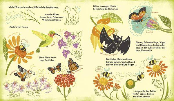 Das Wunder einer Blume - Warum Blumen und Pflanzen so wichtig sind