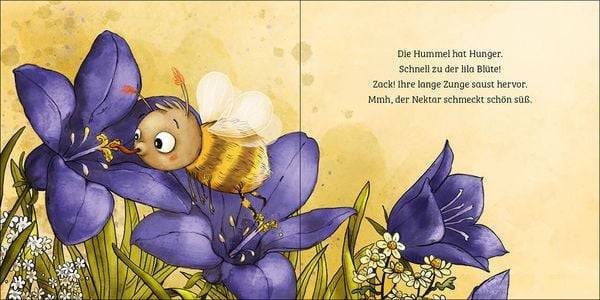 Mein erstes Naturbuch - Die Hummel