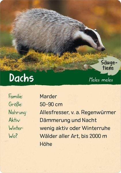 Naturforscher-Kids – Wald