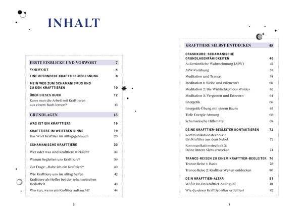Praxisbuch Schamanische Krafttiere – Entdecke deine Seelenbegleiter