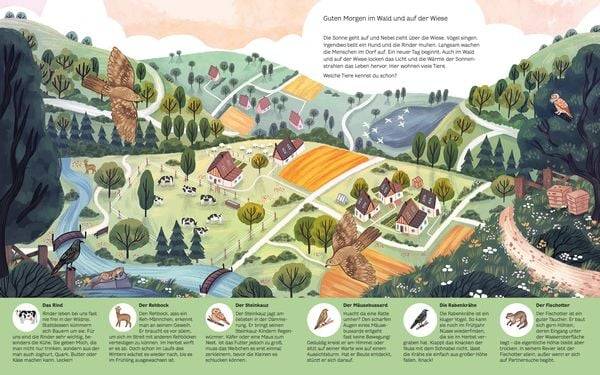 Kleine Geheimnisse der Natur - Wald und Wiese