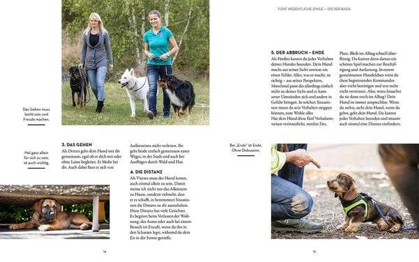 Hunde erziehen – mit der 5er-Basis