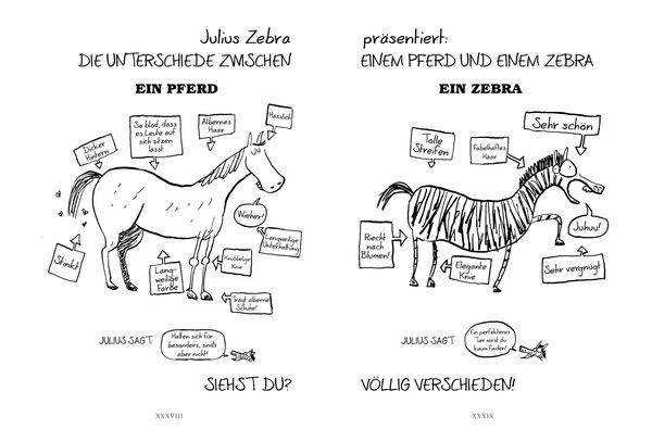 Raufen mit den Römern / Julius Zebra Band 1