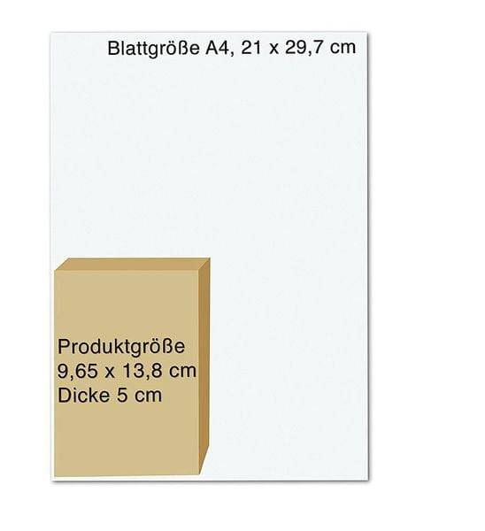 Das Orakel der Priesterinnen des Lichts