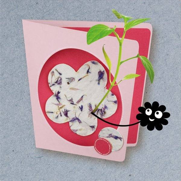 KOSMOS - AllesKönnerKiste - Blühendes Papier